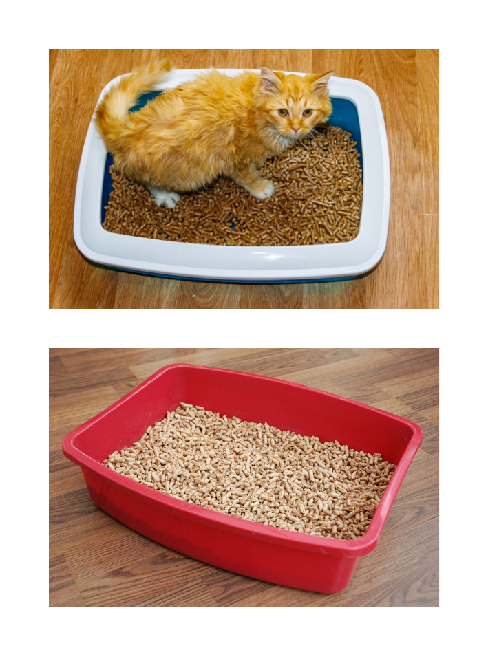pellet kayu kucing