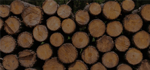 jenis kayu untuk wood pellet