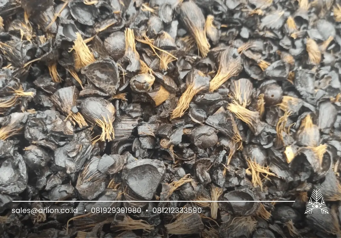 bahan bakar kelapa sawit