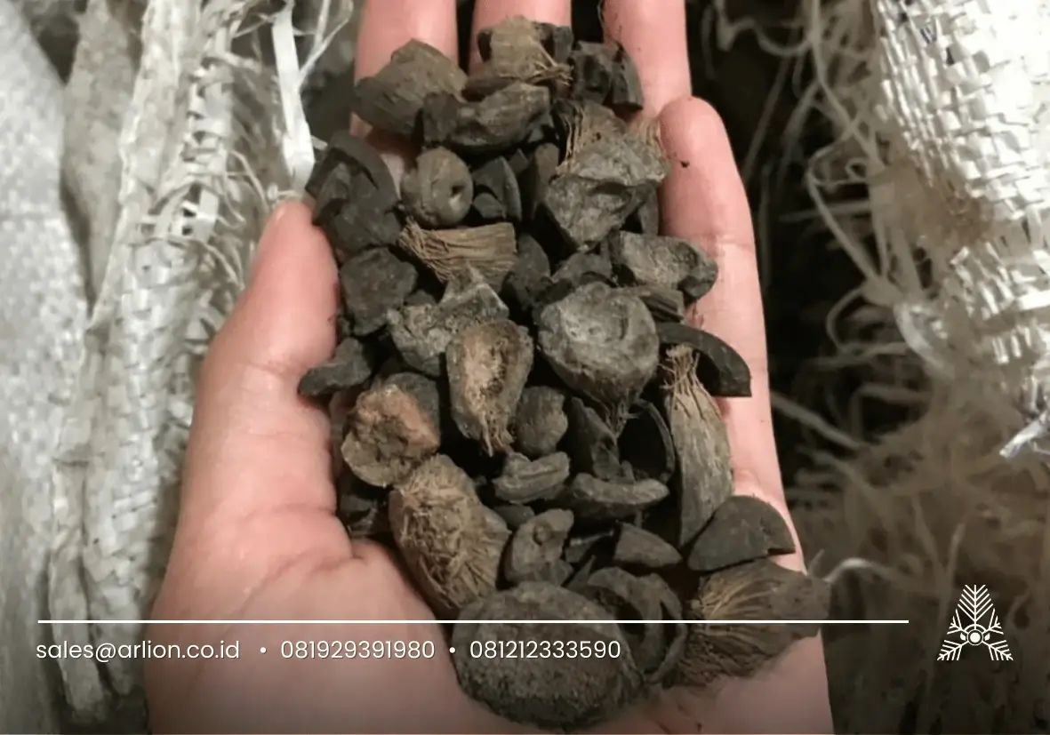 pengganti bahan bakar fosil