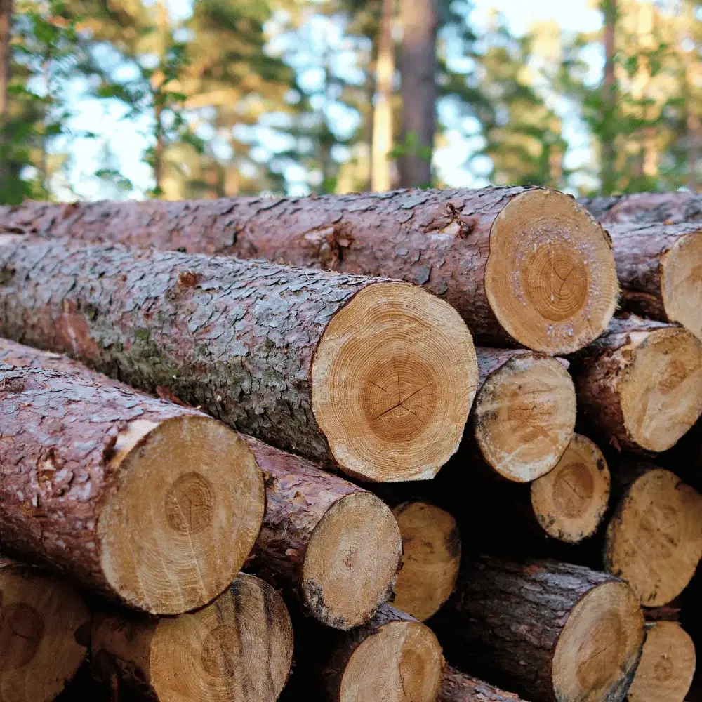 wood pellet bahan bakar